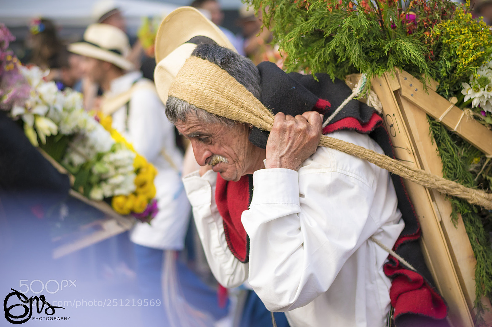 Nikon D5300 sample photo. Flower fair, parade 2017 photography