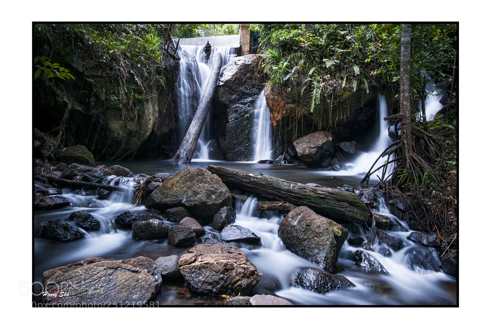 Nikon D700 sample photo. Pokhela photography