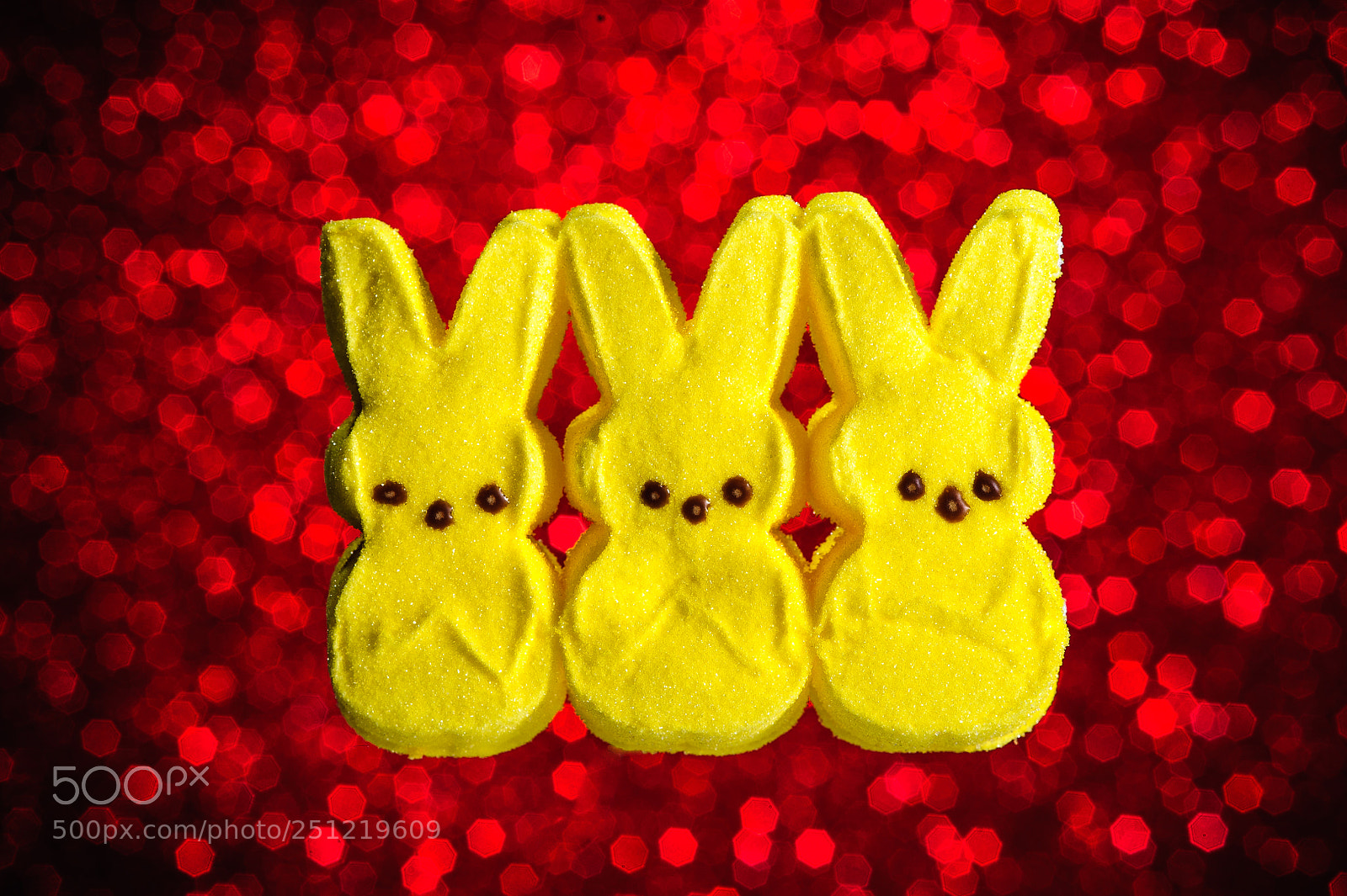 Nikon D700 sample photo. 3 peep bunnies photography