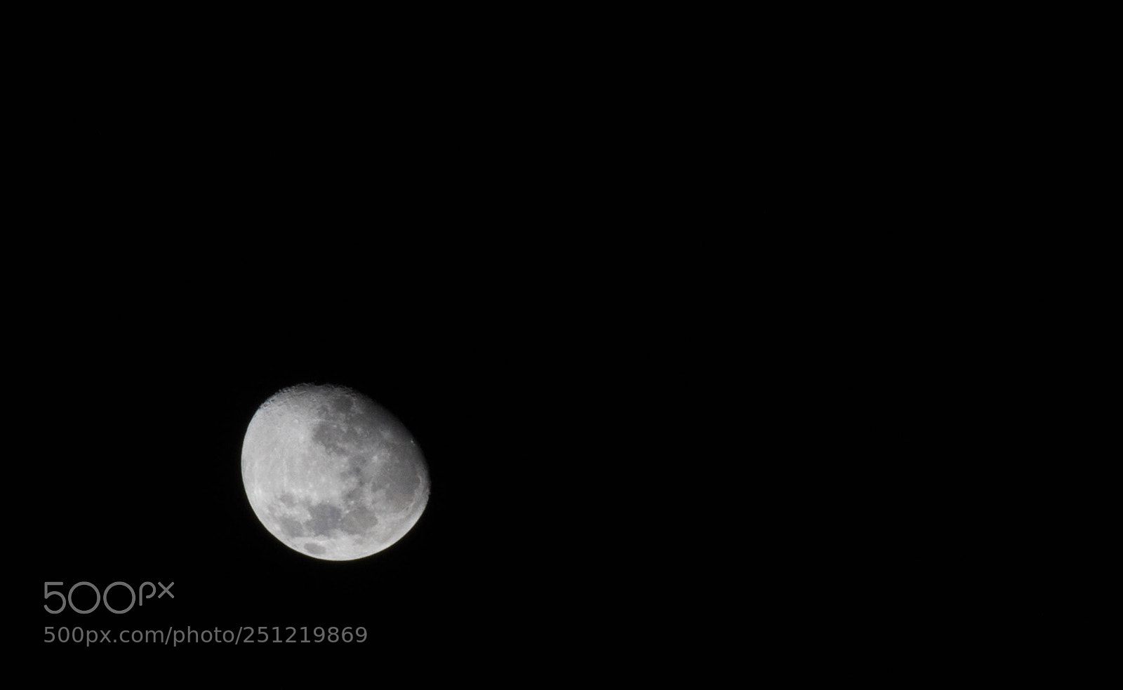 Canon EOS 1200D (EOS Rebel T5 / EOS Kiss X70 / EOS Hi) sample photo. Bloom moon photography