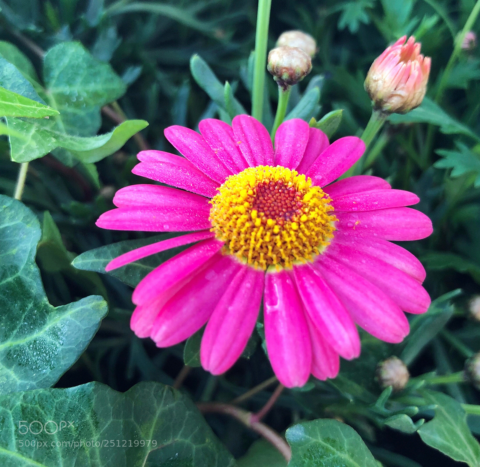 Apple iPhone X sample photo. Untitled photography