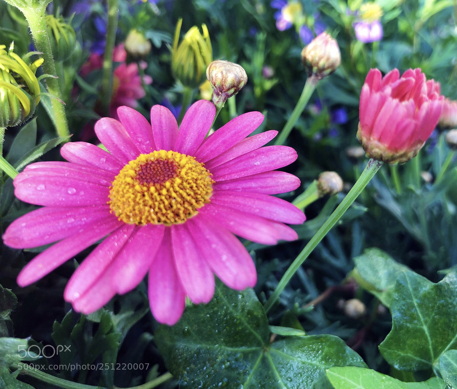 Apple iPhone X sample photo. Untitled photography