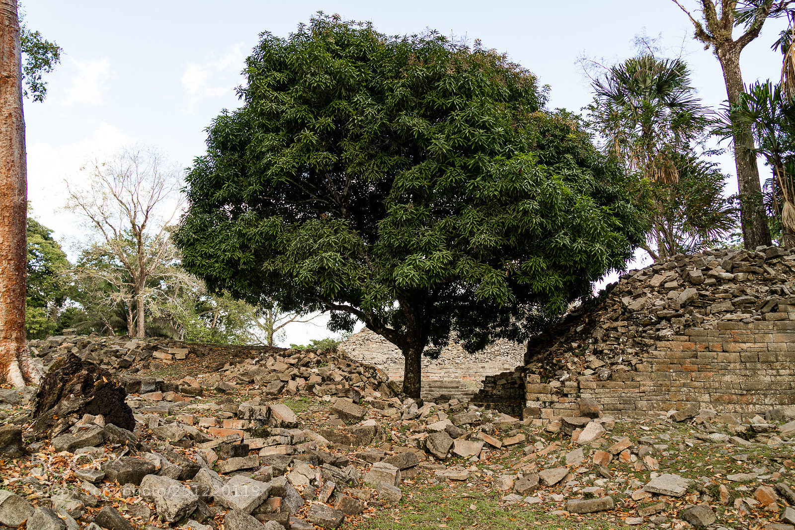 Canon EOS M3 sample photo. Maya ruins photography