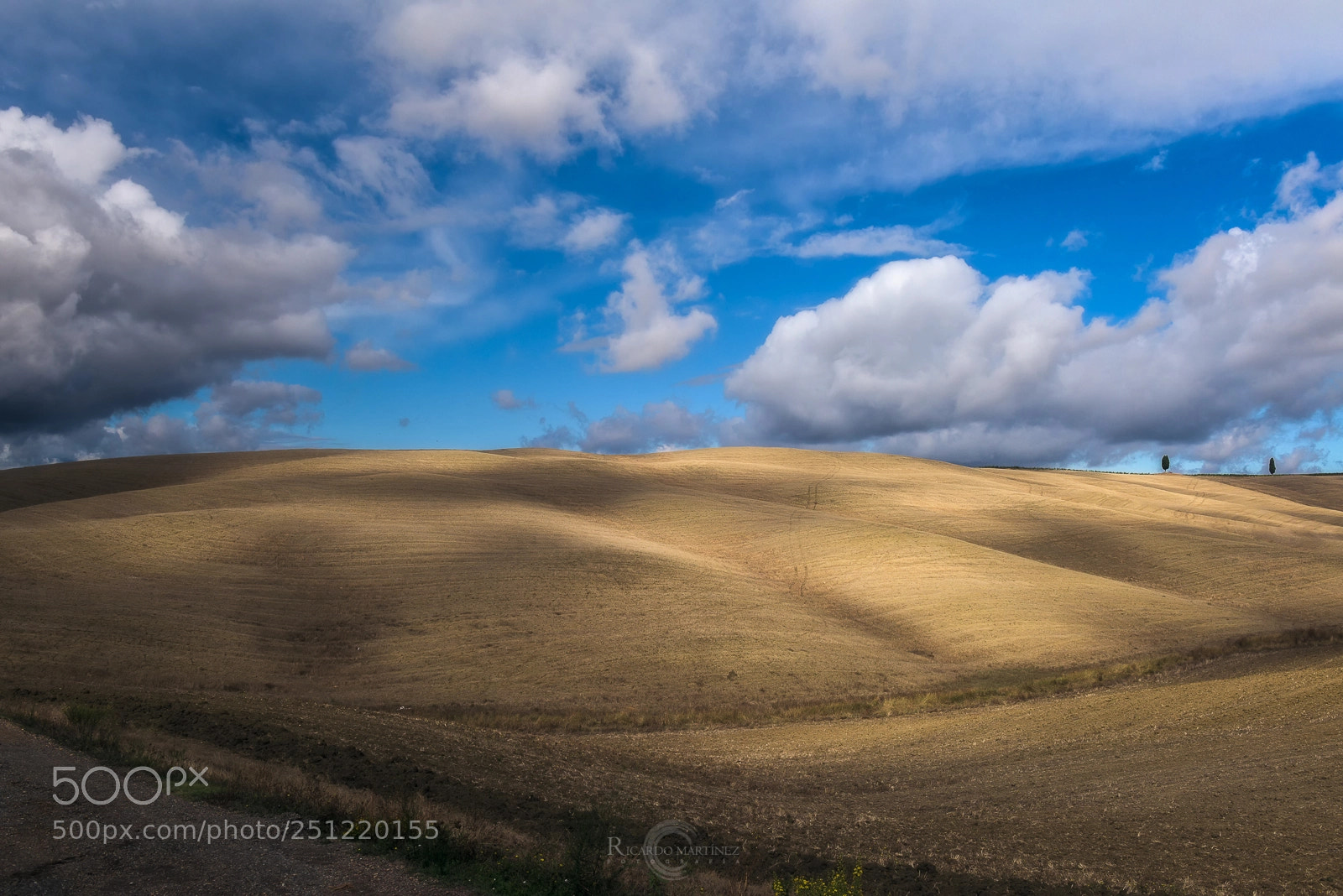 Nikon D810 sample photo. Campos en la toscana photography