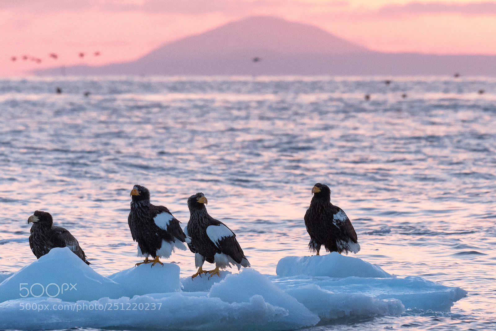 Nikon D500 sample photo. Winter's sunrise photography