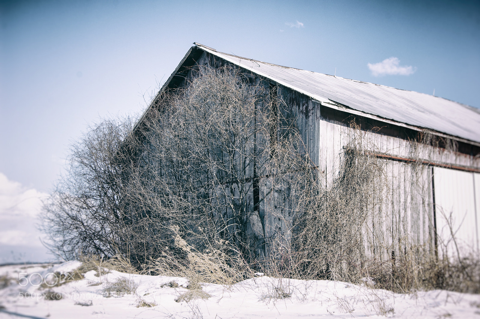 Nikon D40 sample photo. Barn in winter photography