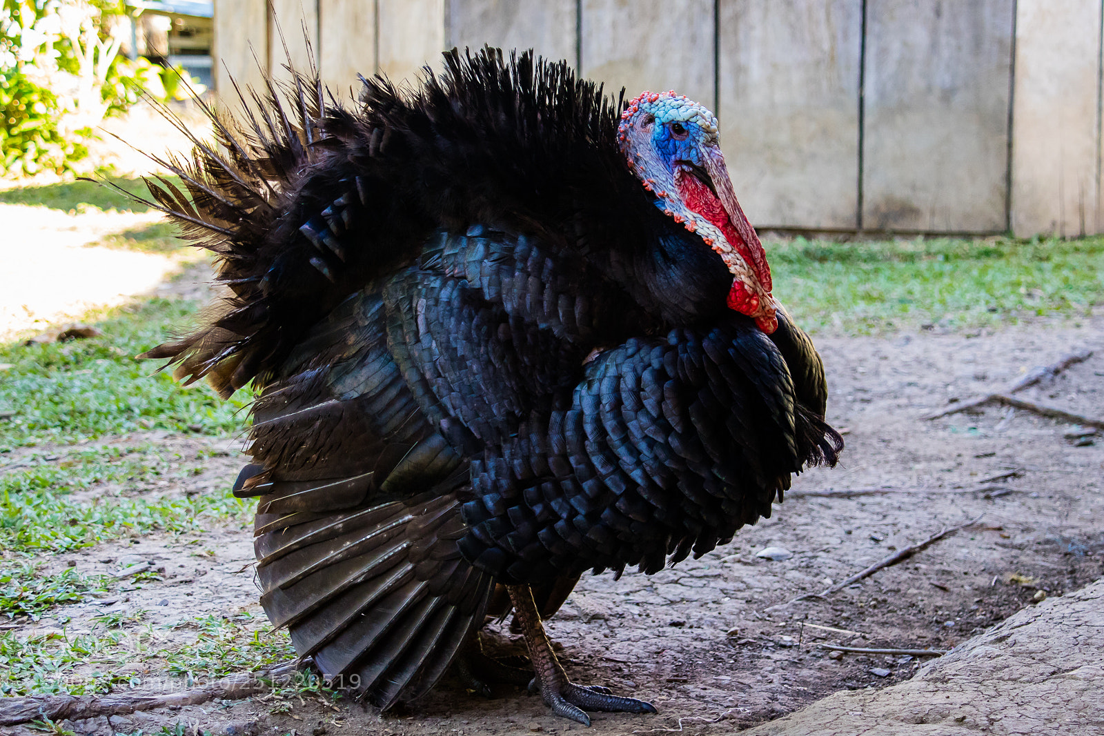 Canon EOS M3 sample photo. Turkey photography