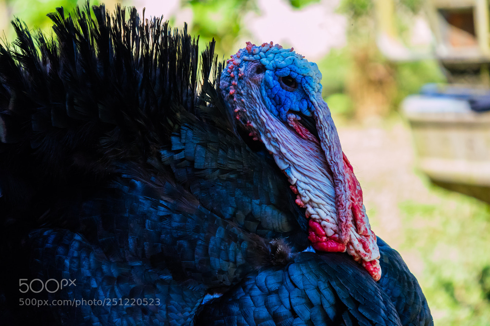 Canon EOS M3 sample photo. Turkey photography