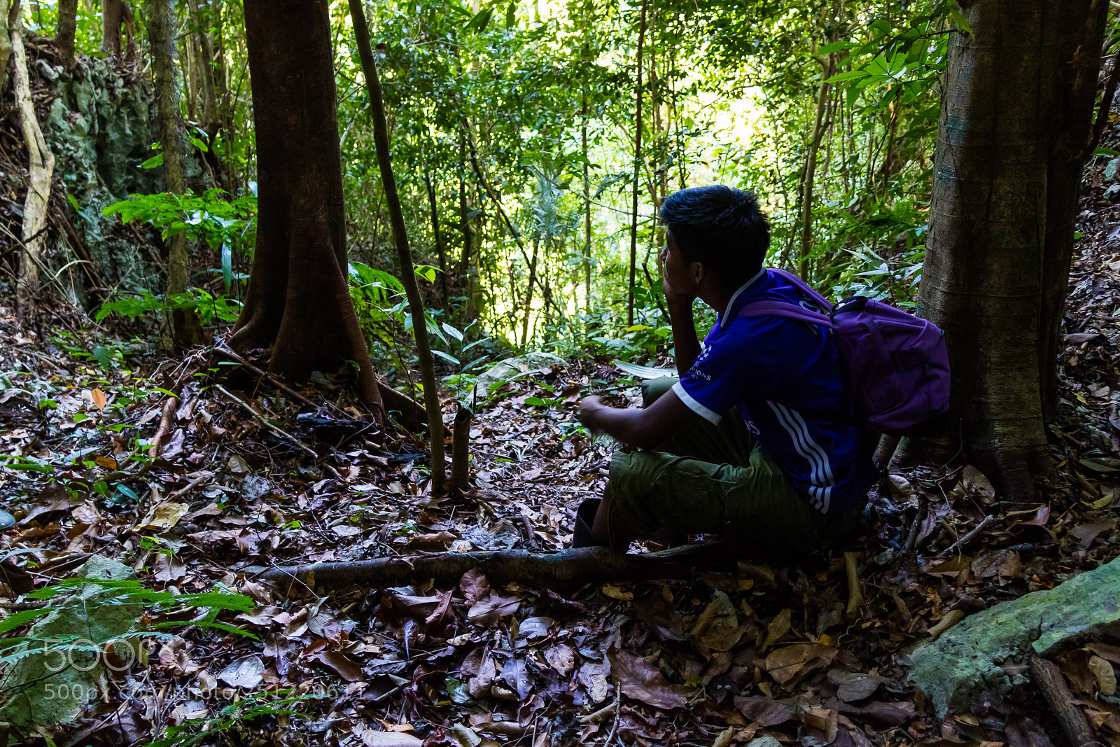 Canon EOS M3 sample photo. Jungle photography