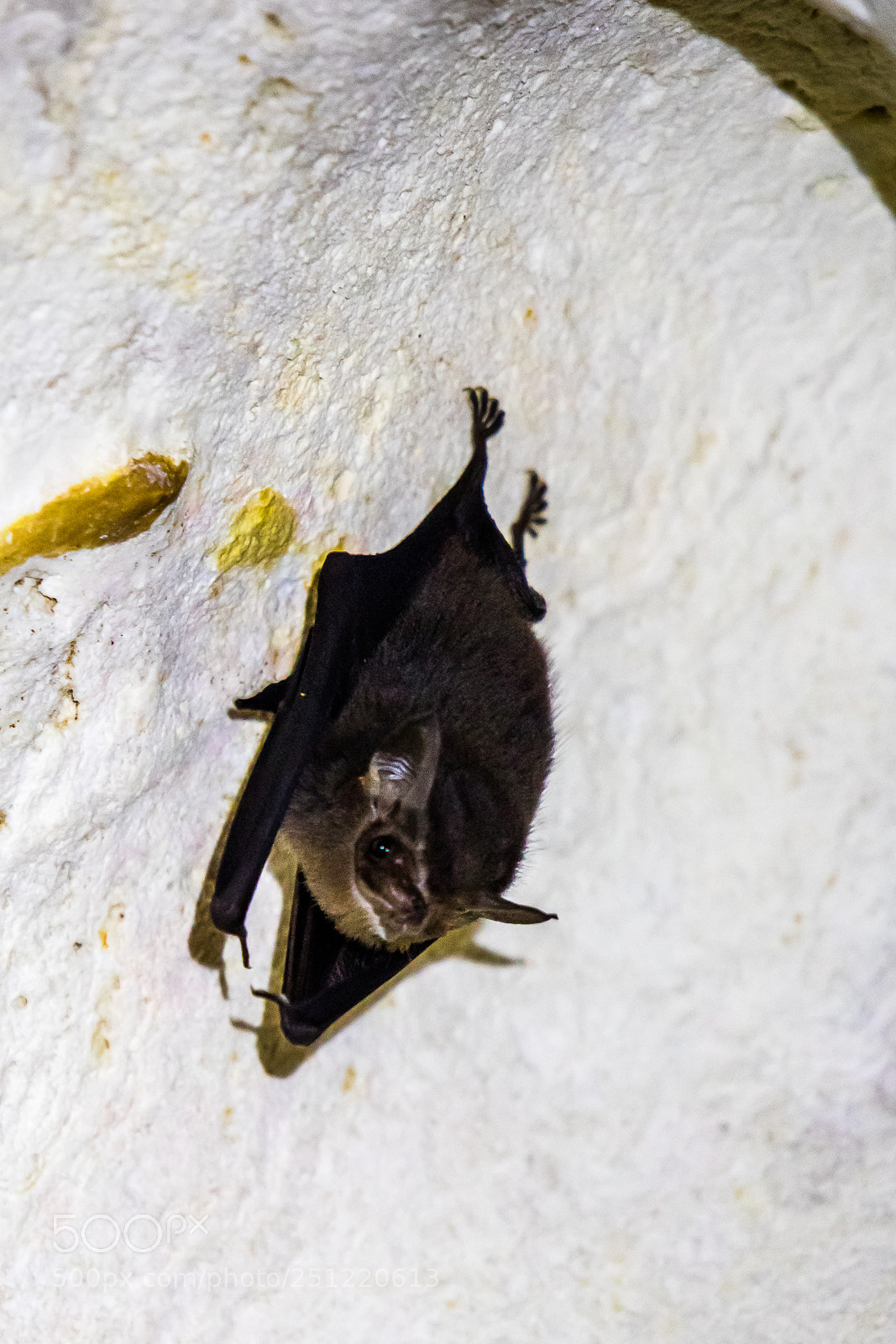 Canon EOS M3 sample photo. Batman photography