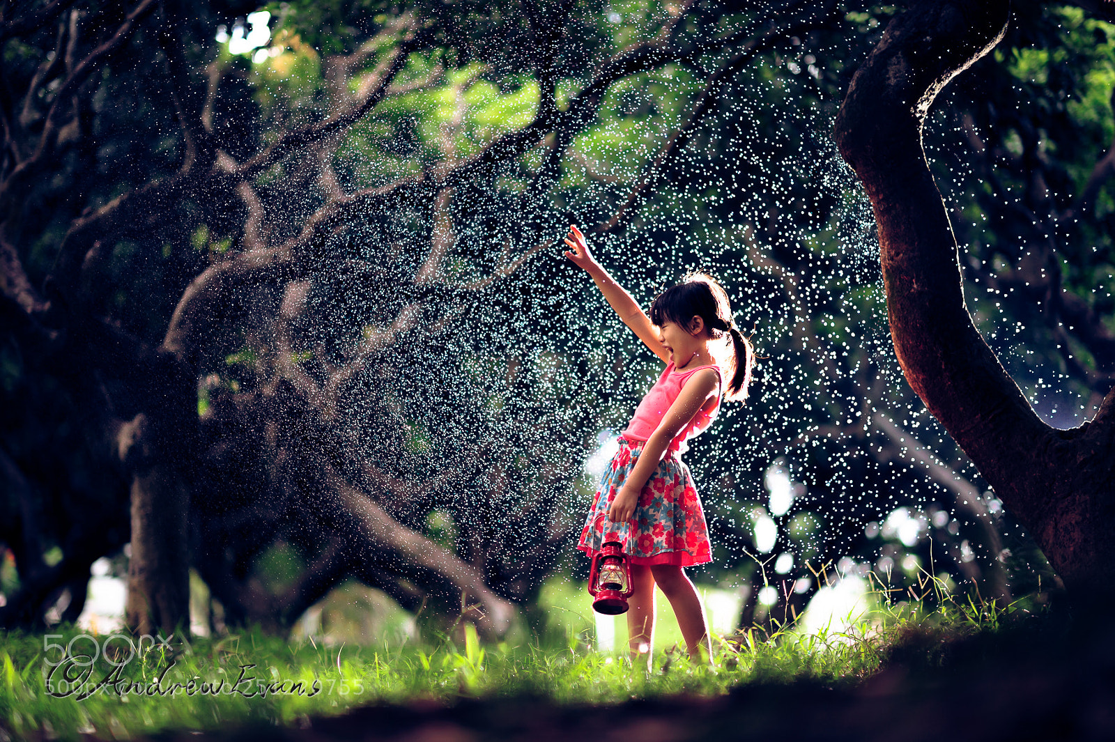 Nikon D3 sample photo. Rain photography