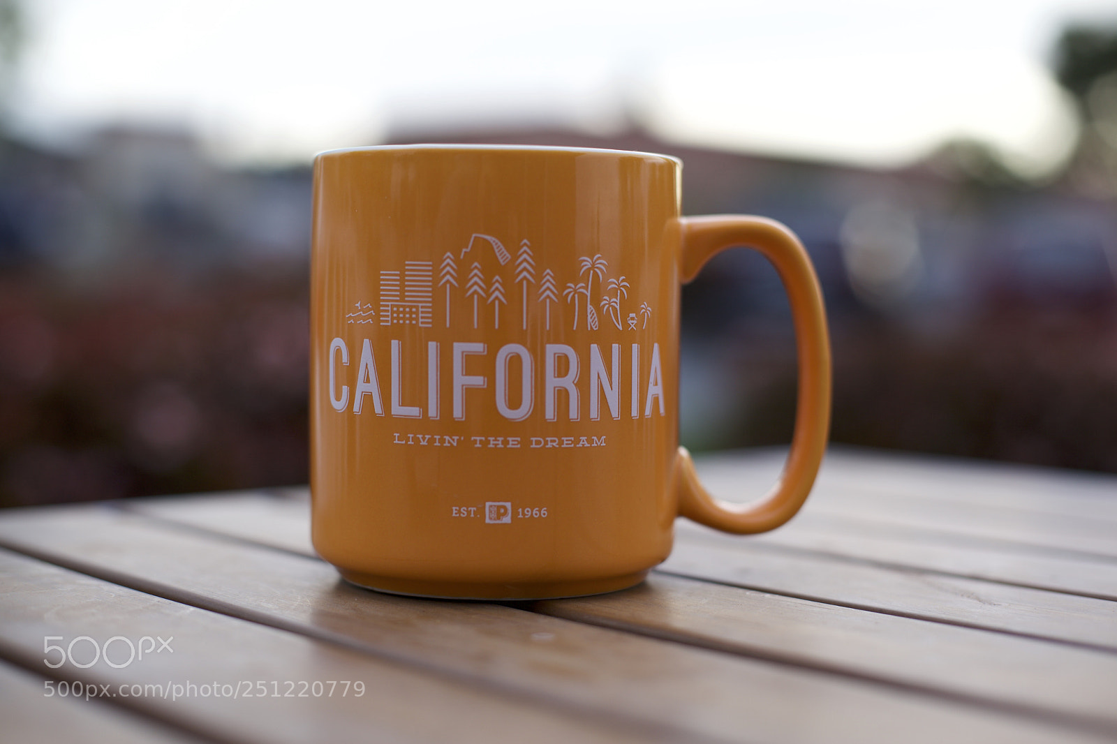 Canon EOS 5D Mark II sample photo. California feeling photography