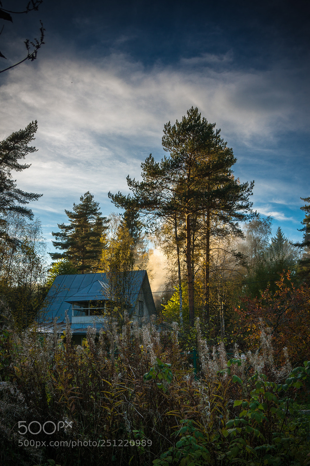 Sony Alpha NEX-6 sample photo. Dsc photography