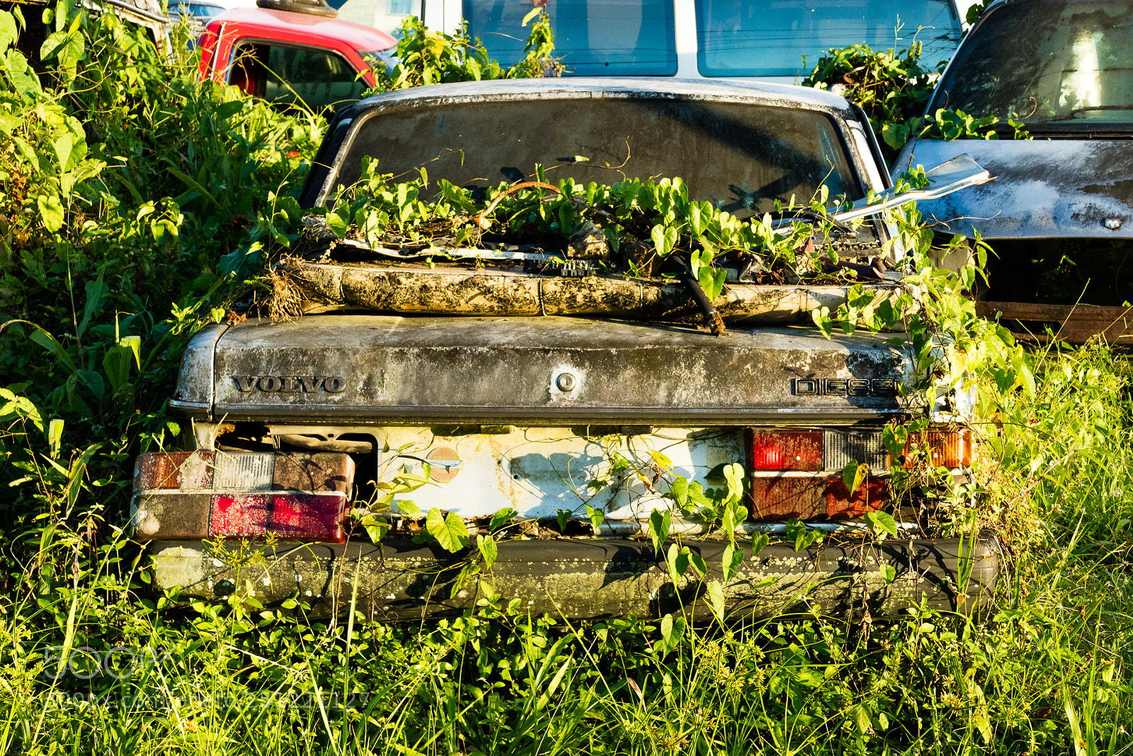 Canon EOS M3 sample photo. Broken car photography