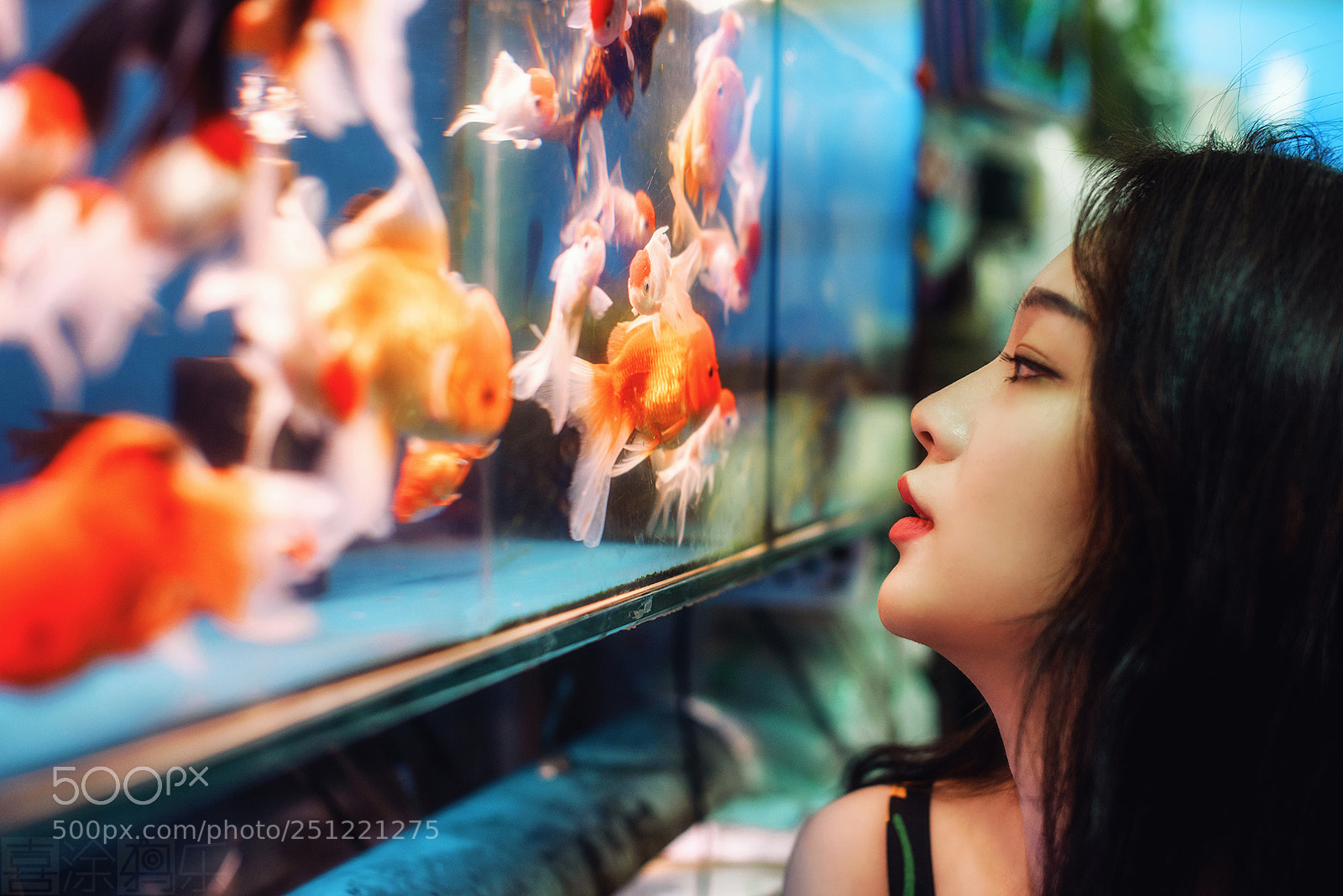Nikon D810 sample photo. 与鱼为画 photography