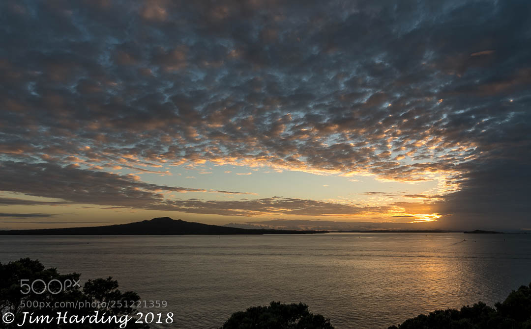 Nikon D7500 sample photo. Dawn over rangitoto island photography