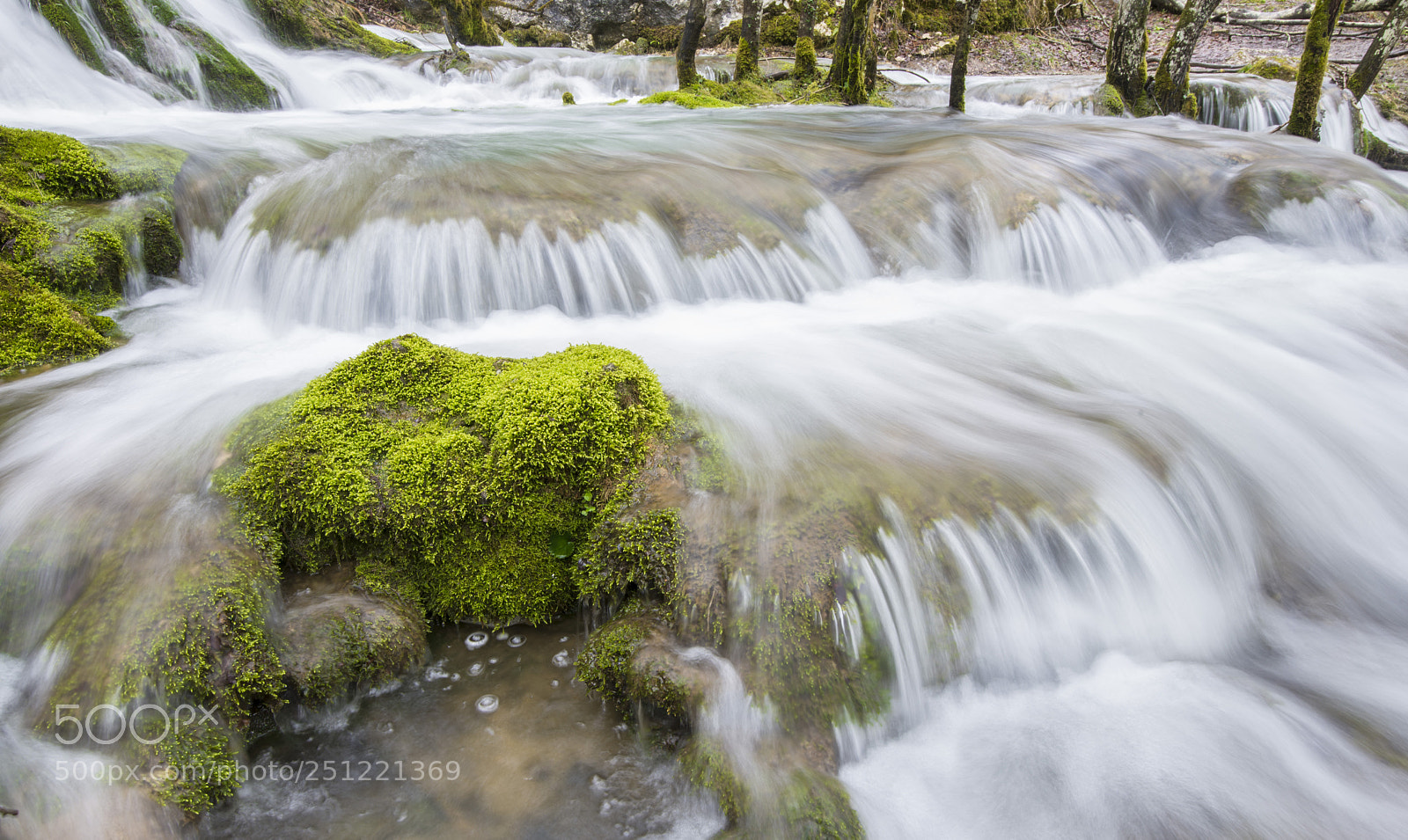 Nikon D600 sample photo. _asi8938-1.jpg photography