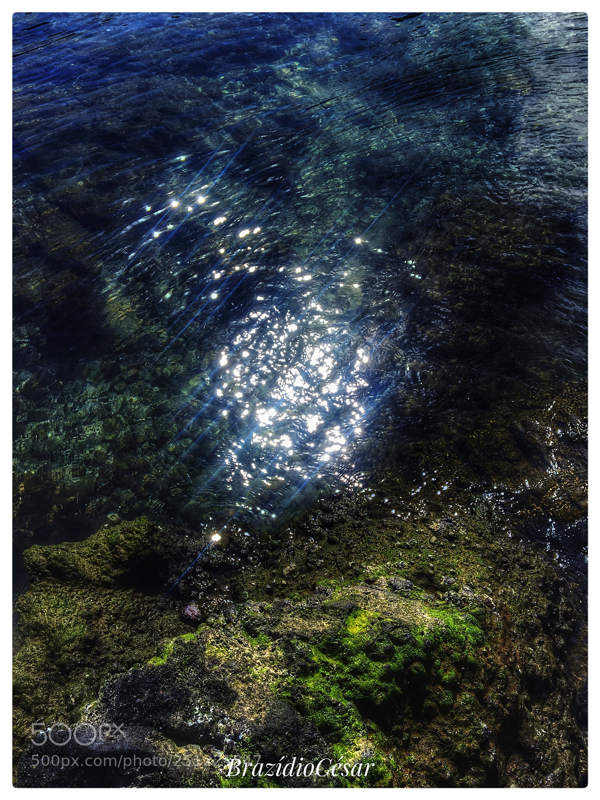 Apple iPhone 6s sample photo. Untitled photography