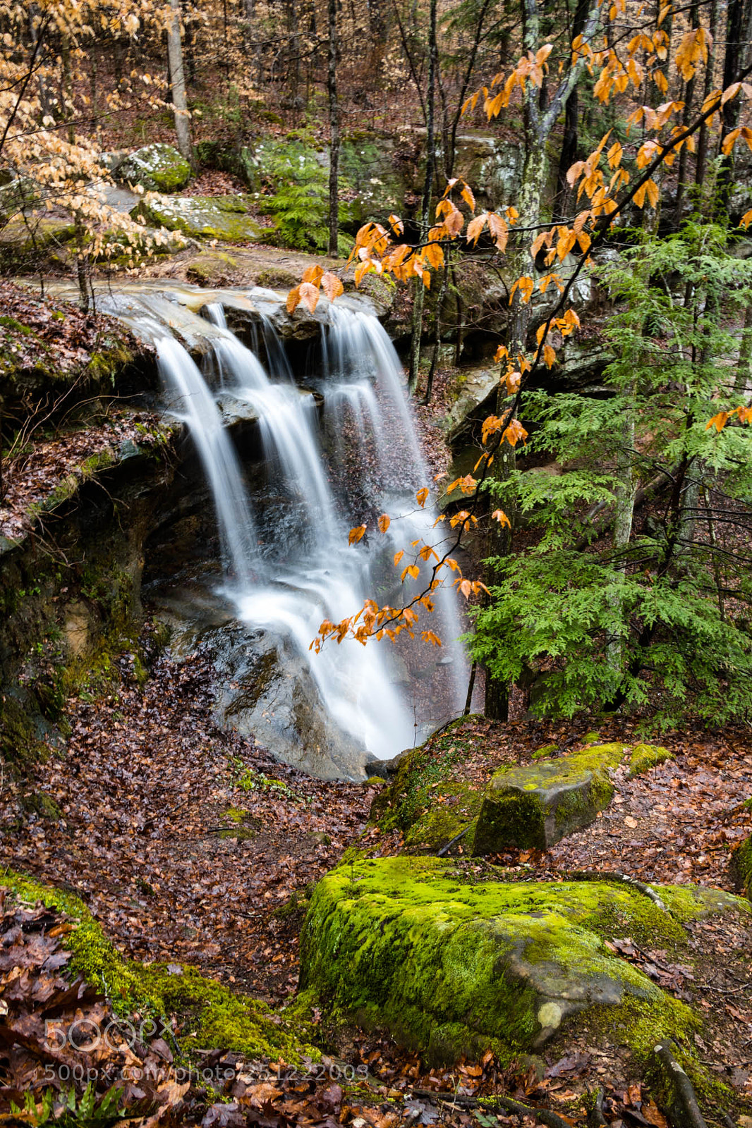 Nikon D850 sample photo. Rainy days make wonderful photography