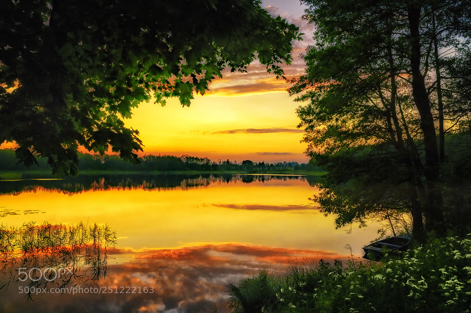 Sony a6000 sample photo. Summer sunset photography