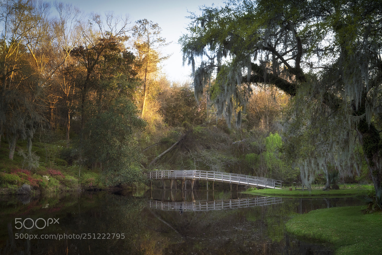 Sony a7R III sample photo. Middleton place bridge in photography