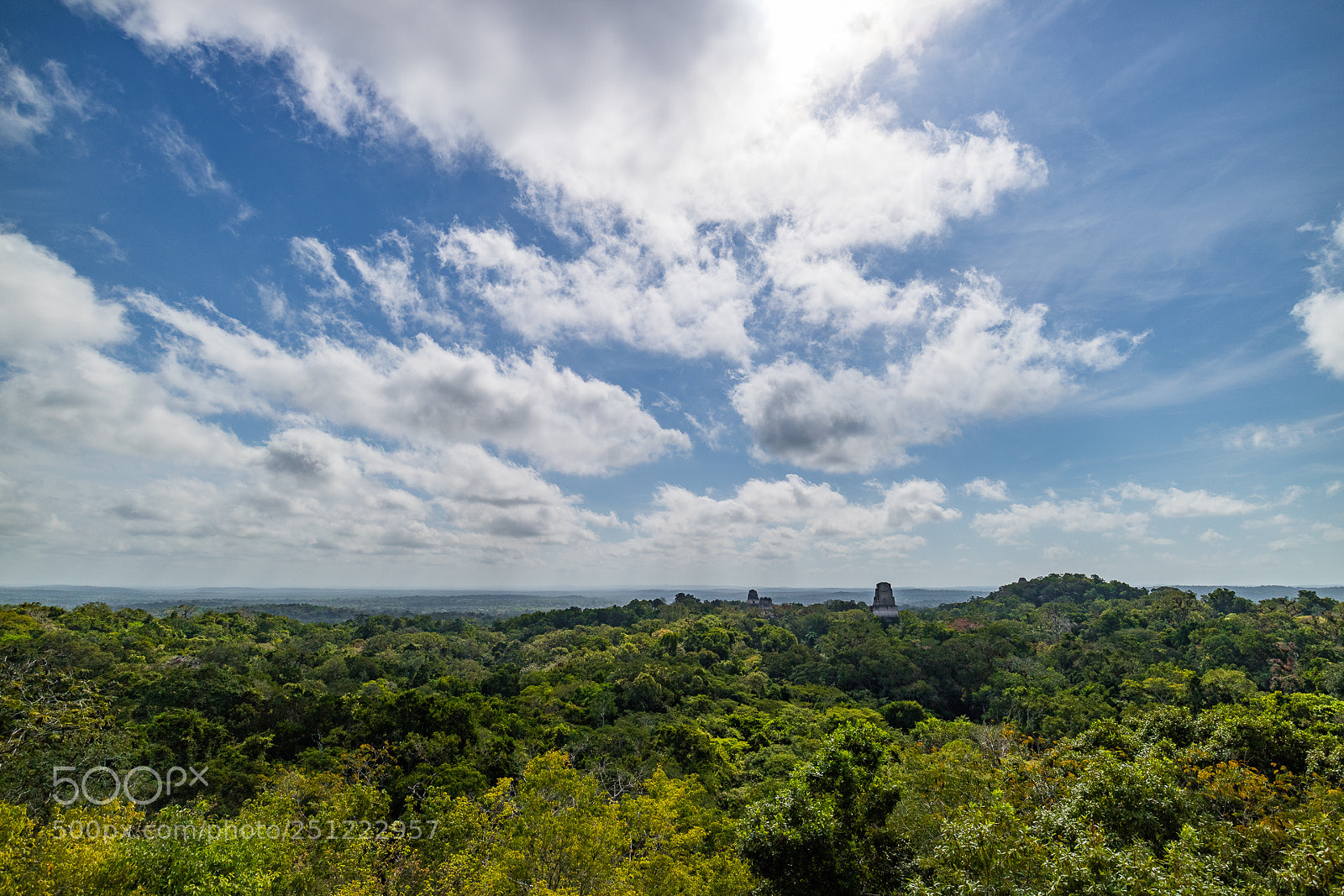 Canon EOS M3 sample photo. Jungle view photography