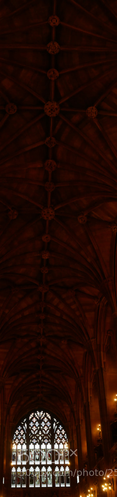 Panasonic Lumix DMC-GX85 (Lumix DMC-GX80 / Lumix DMC-GX7 Mark II) sample photo. John rylands library photography