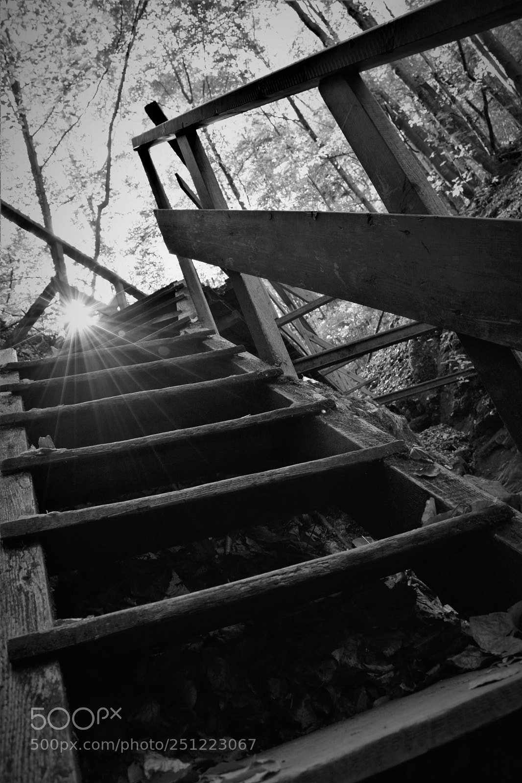 Nikon D3300 sample photo. Upstairs:) photography