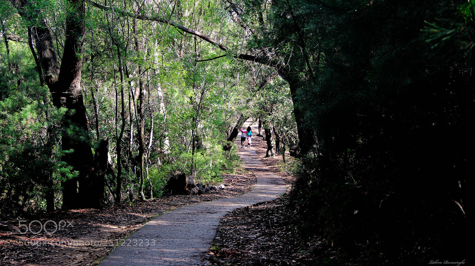 Canon EOS 600D (Rebel EOS T3i / EOS Kiss X5) sample photo. Walk to nature photography