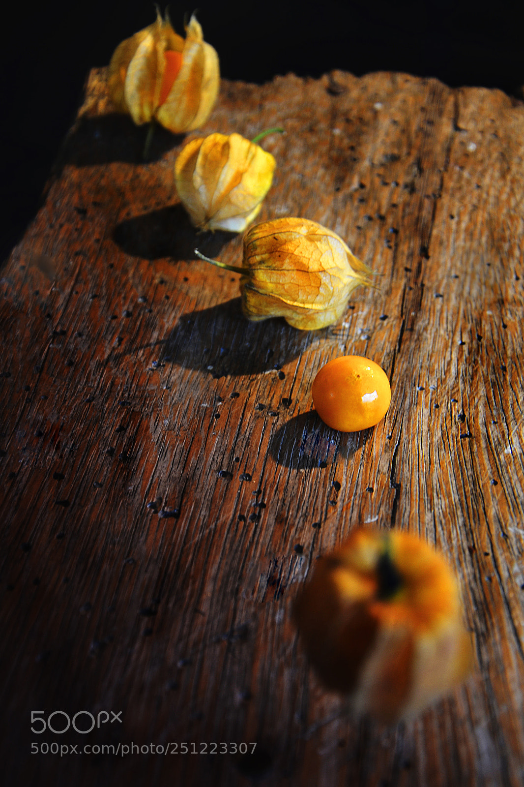 Nikon D5100 sample photo. Where is my mind photography