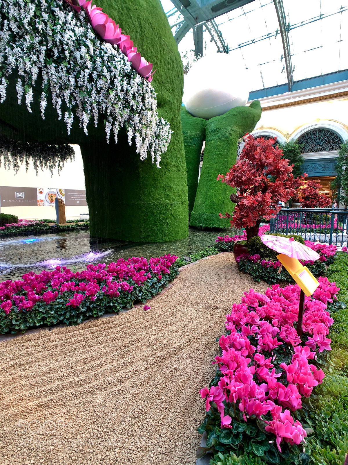 Apple iPhone 8 Plus sample photo. Bellagio garden photography