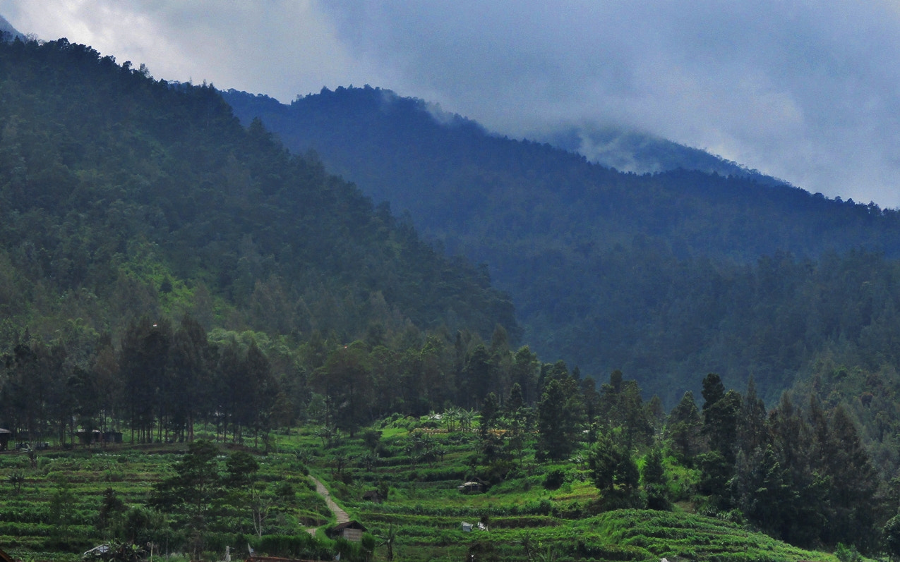 Canon PowerShot ELPH 160 (IXUS 160 / IXY 150) sample photo. Merbabu mountain, indonesia photography