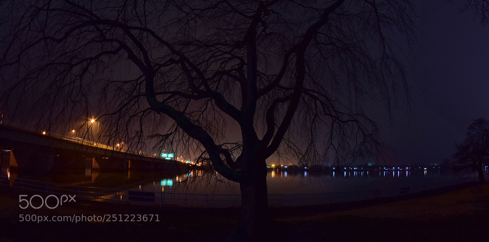 Nikon D5300 sample photo. Eerie tree photography