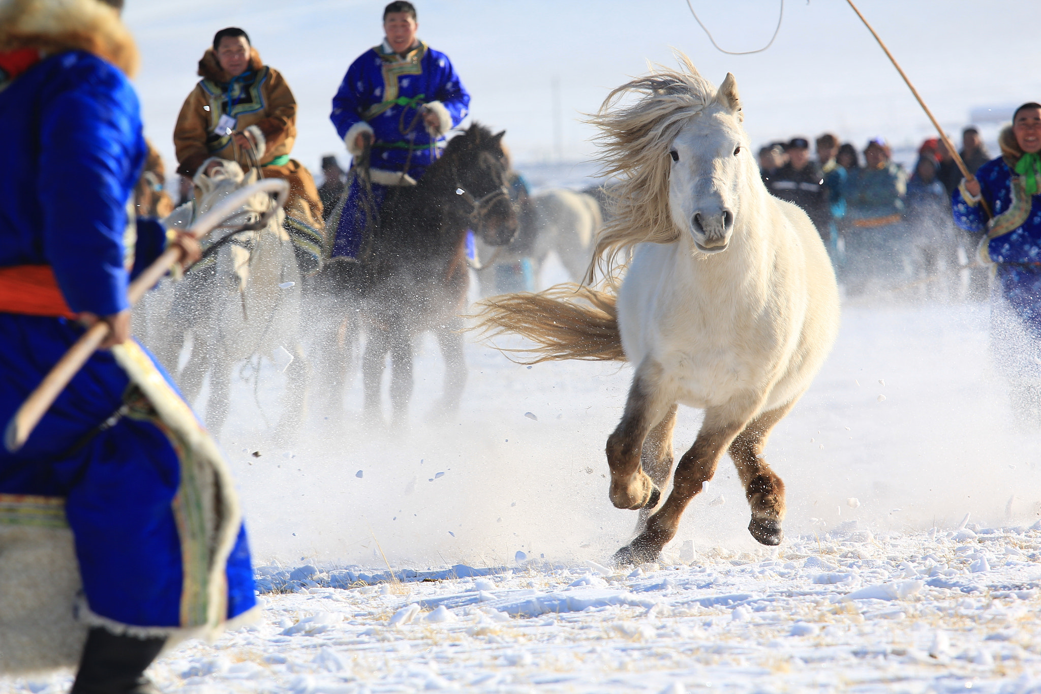 Catching Horse, Naadam