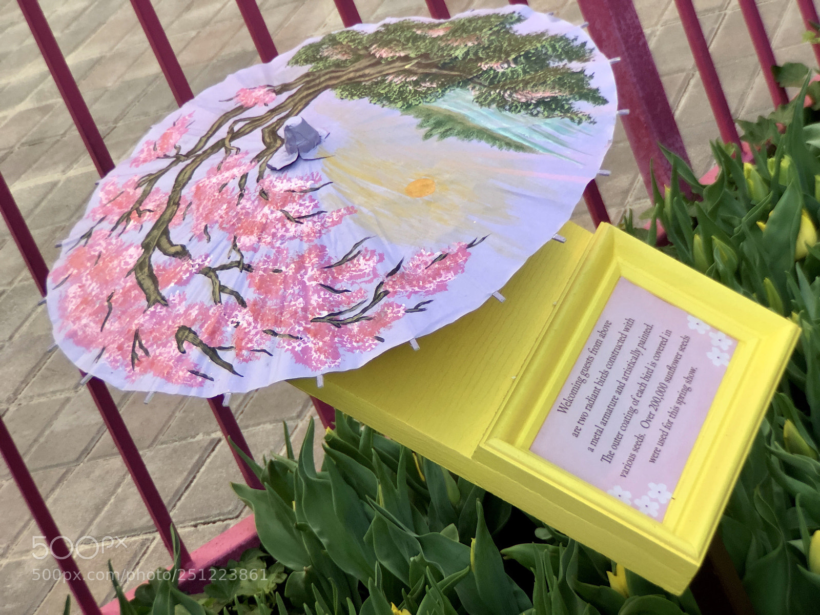 Apple iPhone 8 Plus sample photo. Paper umbrella photography