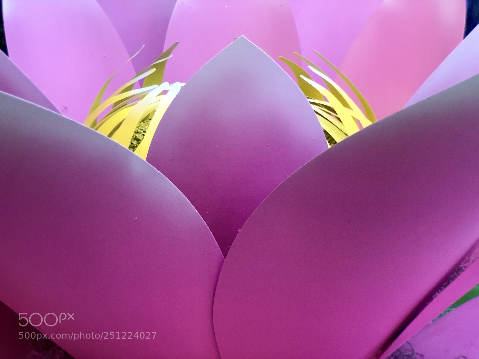 Apple iPhone 8 Plus sample photo. Pink petals again photography