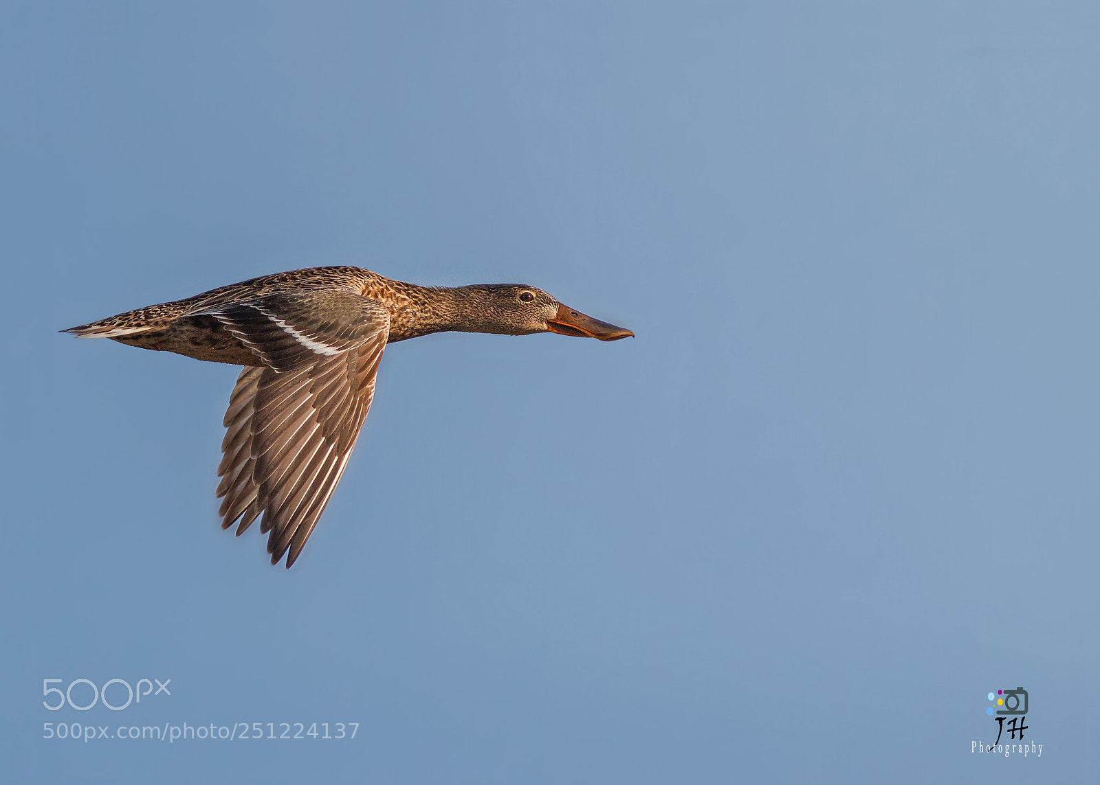 Canon EOS 70D sample photo. Last shoveler of sindh photography