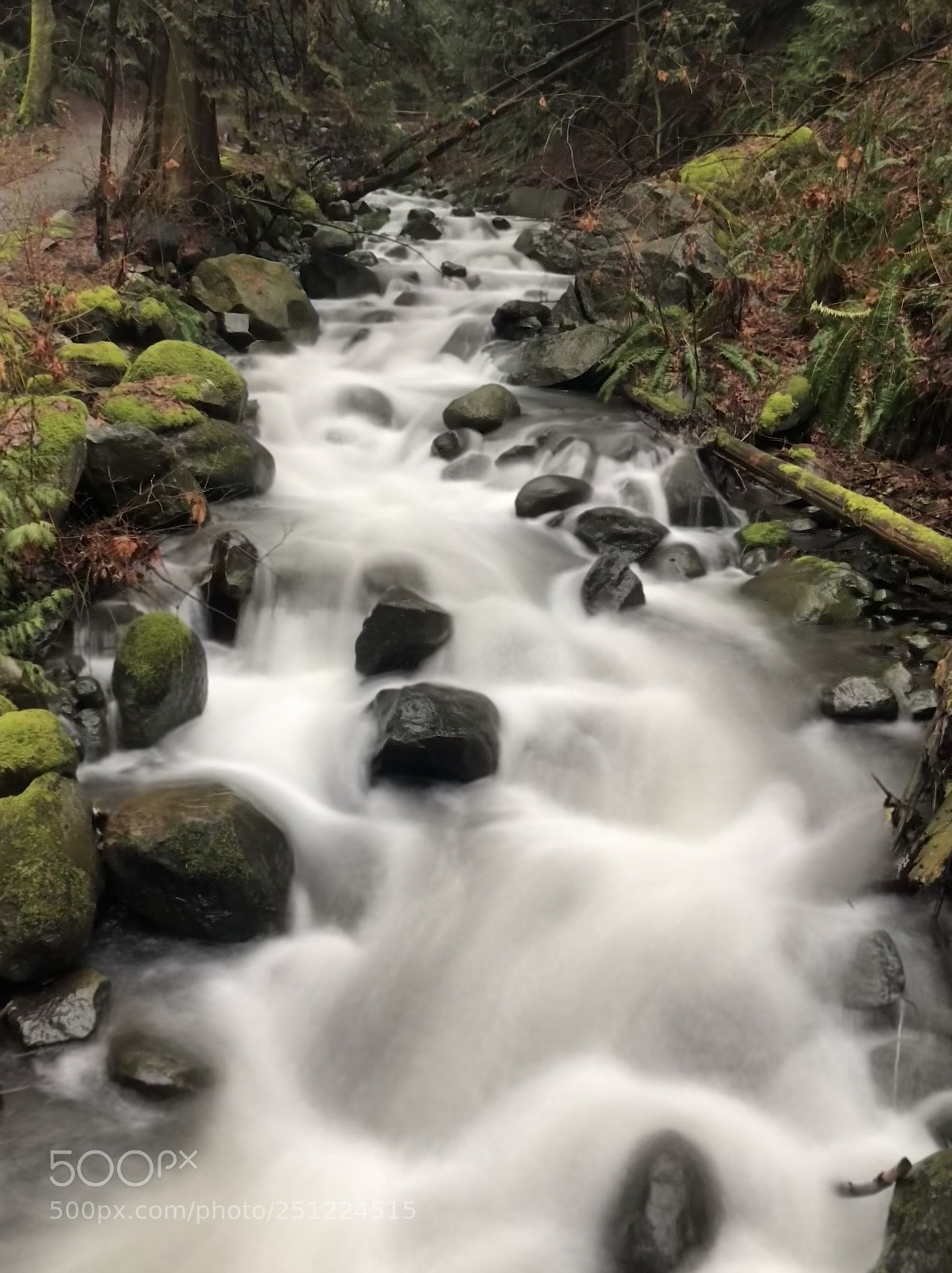 Apple iPhone 8 Plus sample photo. Flowing water 3 photography