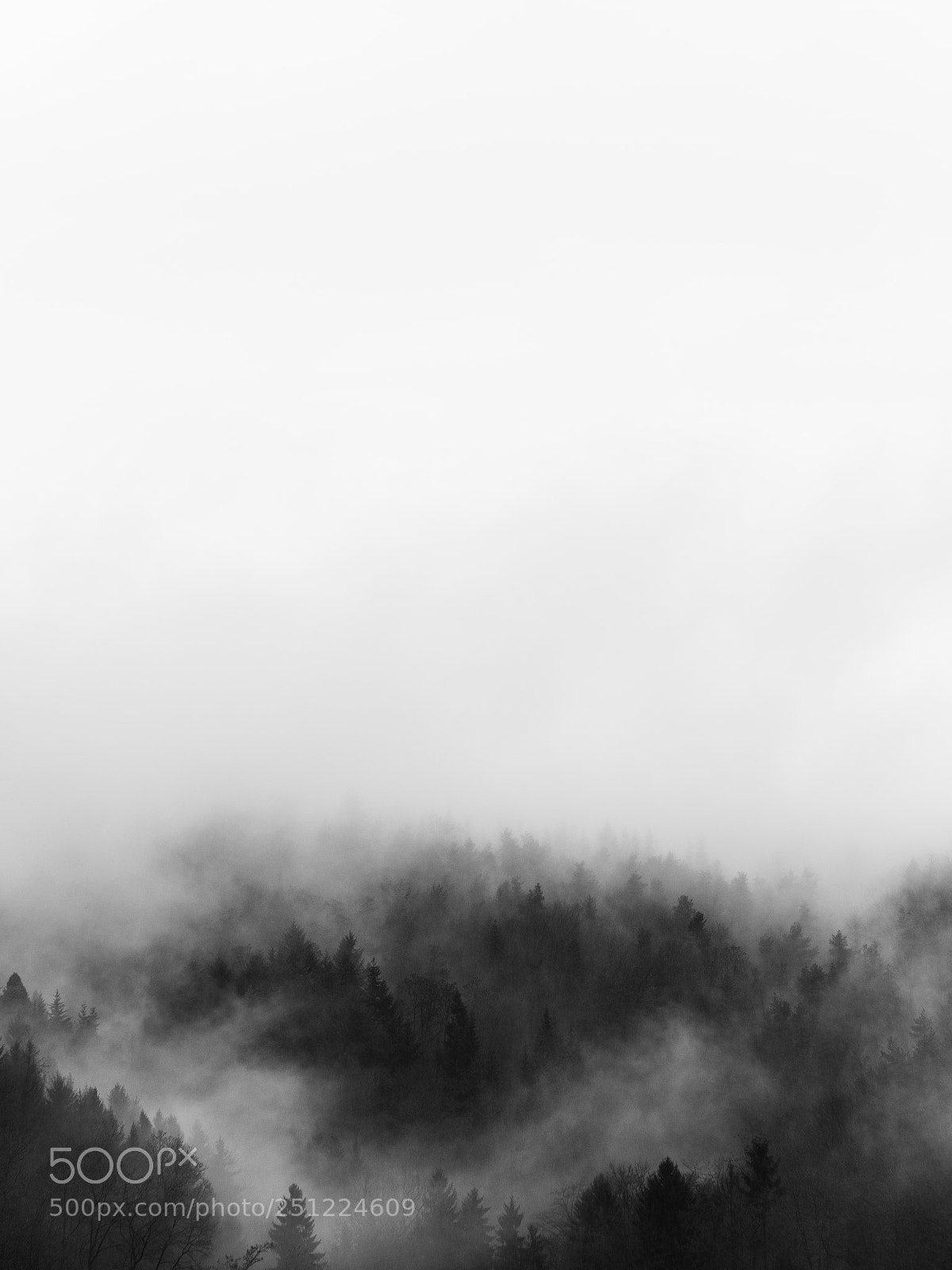 Panasonic Lumix DC-GH5 sample photo. Fog rising up from photography