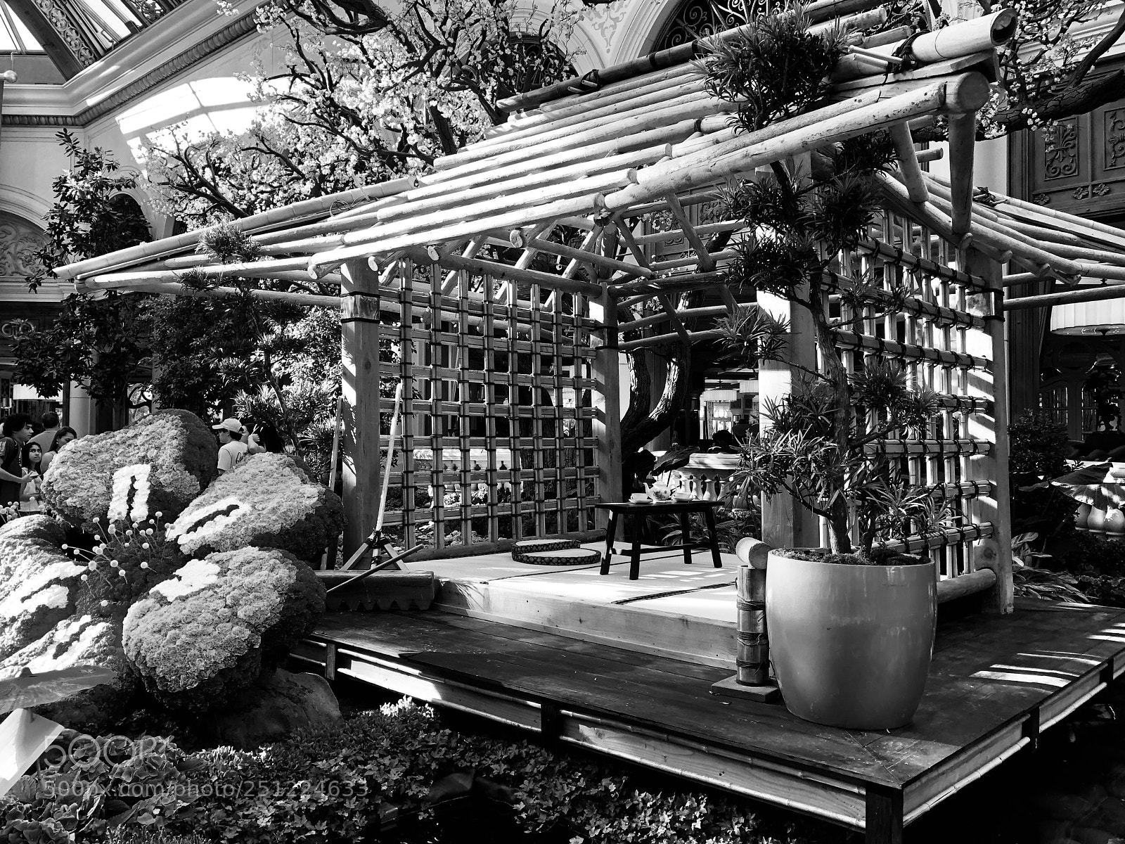 Apple iPhone 8 Plus sample photo. Tea house  photography