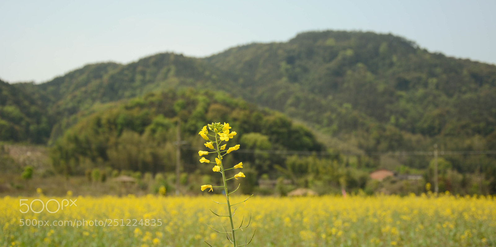 Nikon D7100 sample photo. Untitled photography