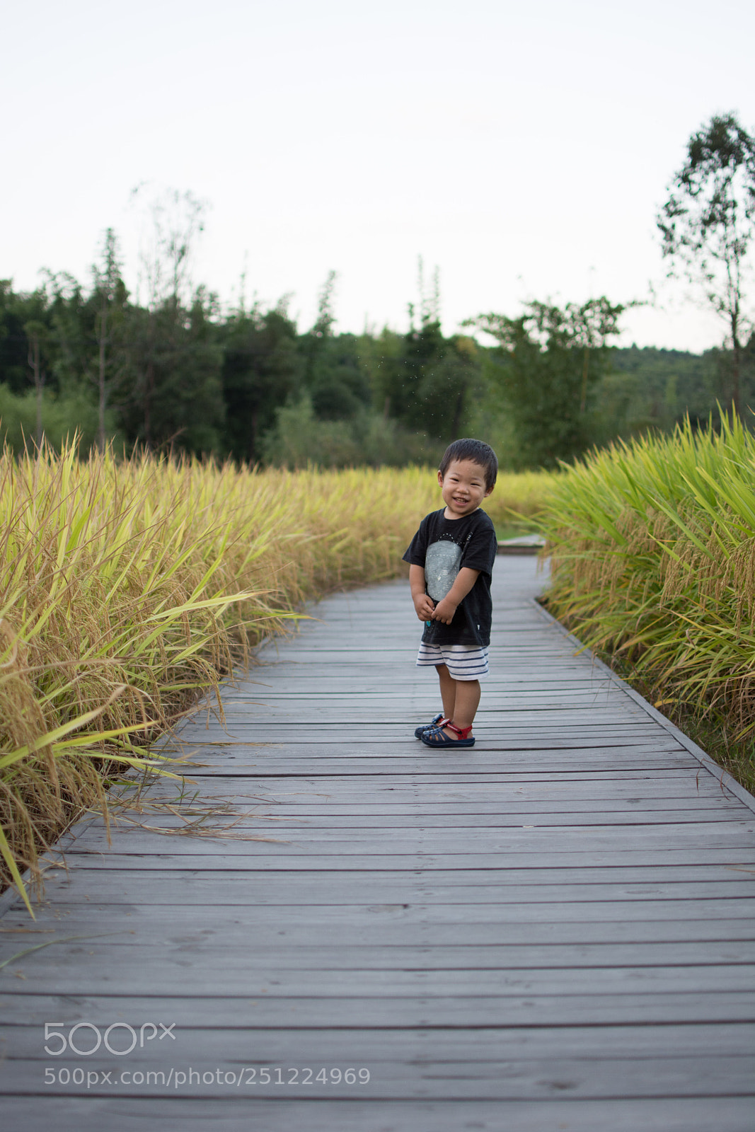 Nikon D7100 sample photo. Untitled photography