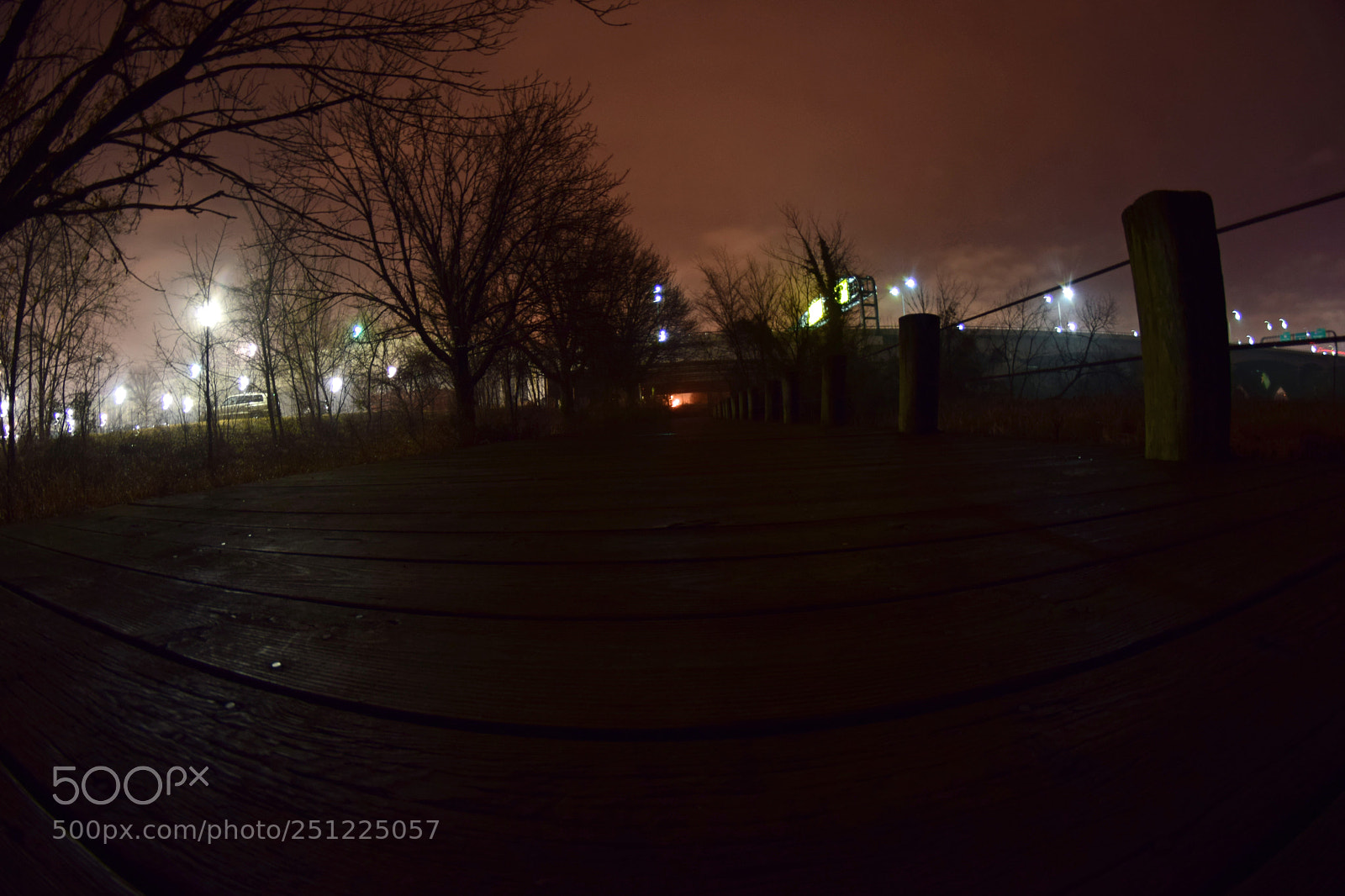 Nikon D5300 sample photo. Fisheye fog ii photography