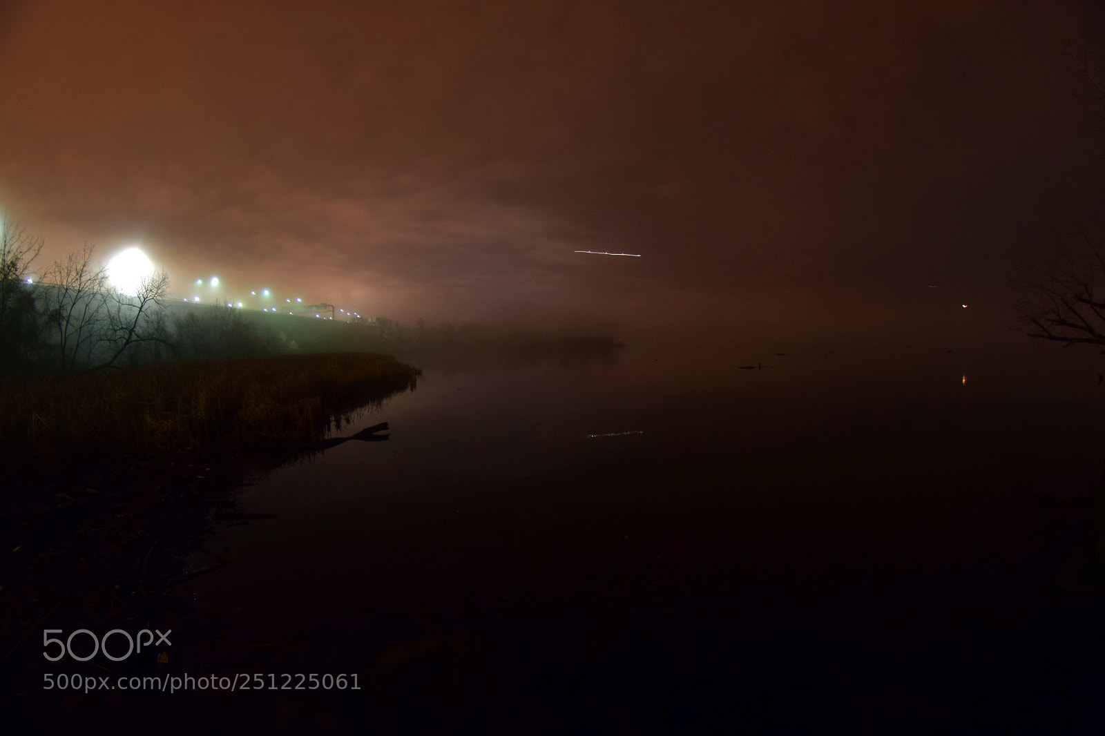 Nikon D5300 sample photo. Wilson bridge fog photography