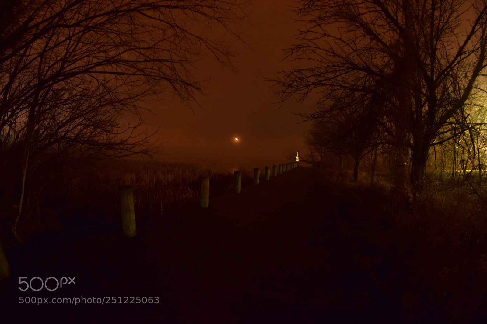 Nikon D5300 sample photo. Fisheye fog photography