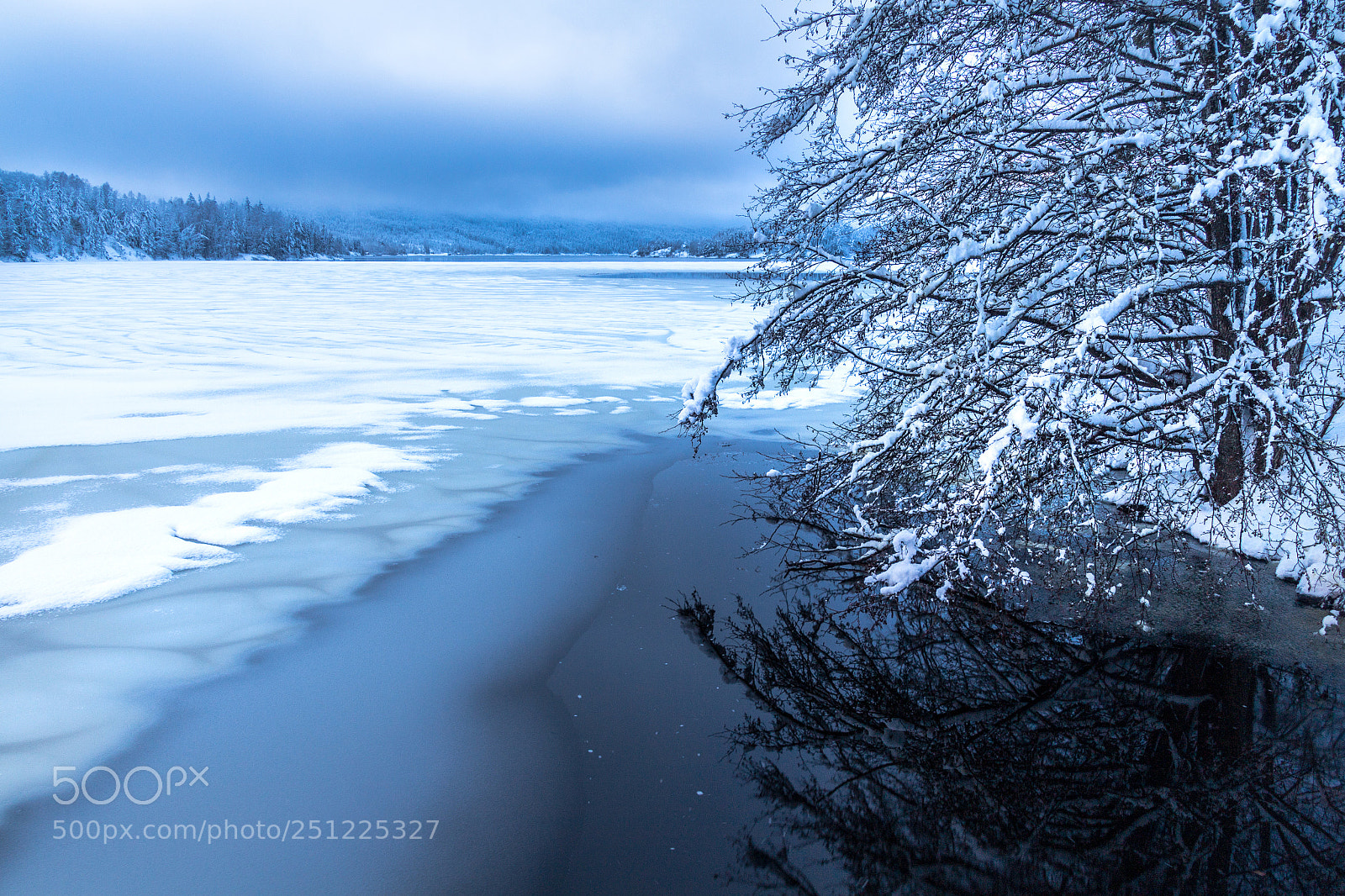Canon EOS 700D (EOS Rebel T5i / EOS Kiss X7i) sample photo. Frozen photography