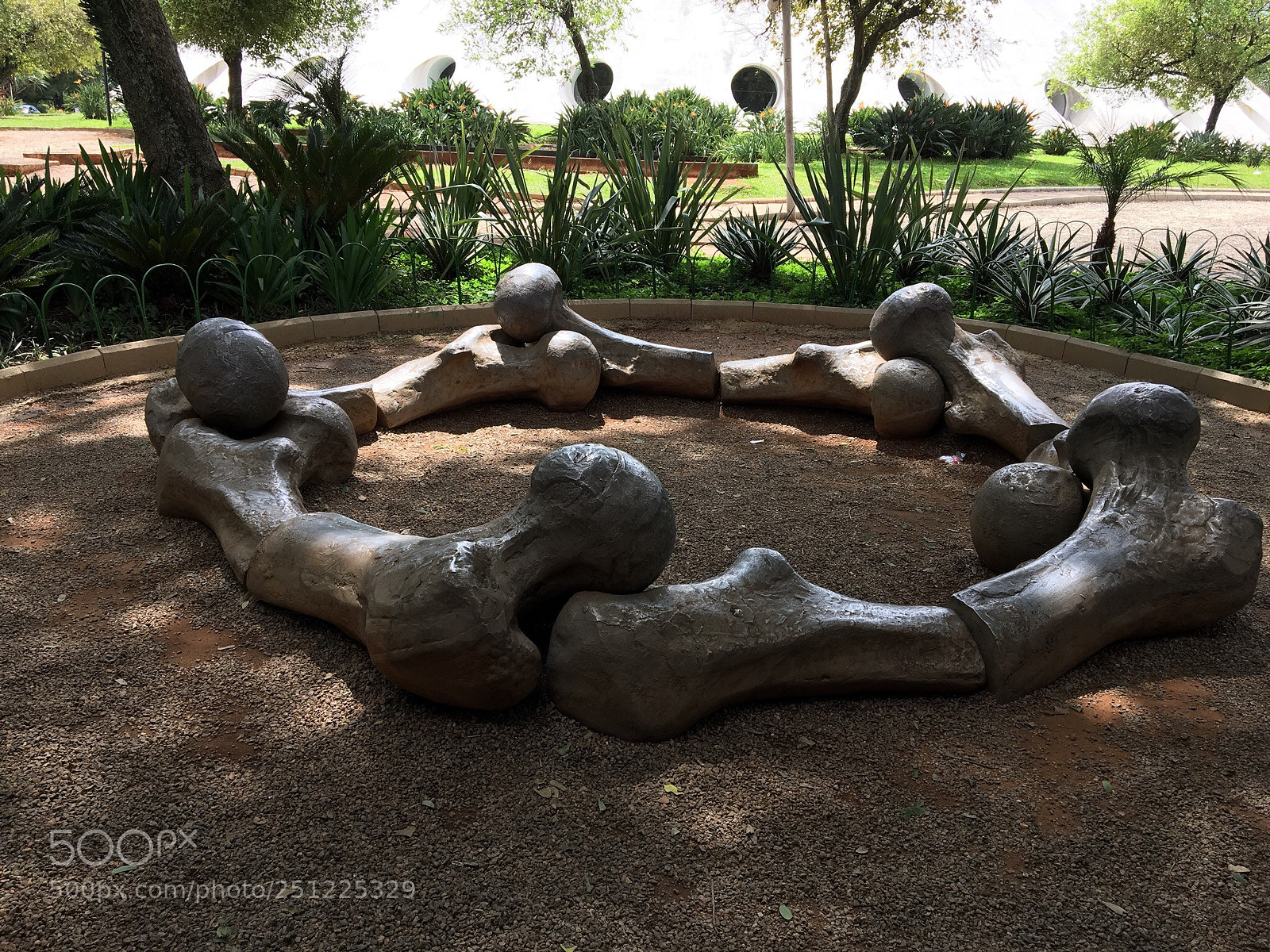 Apple iPhone 6s sample photo. Ibirapuera park brazil photography