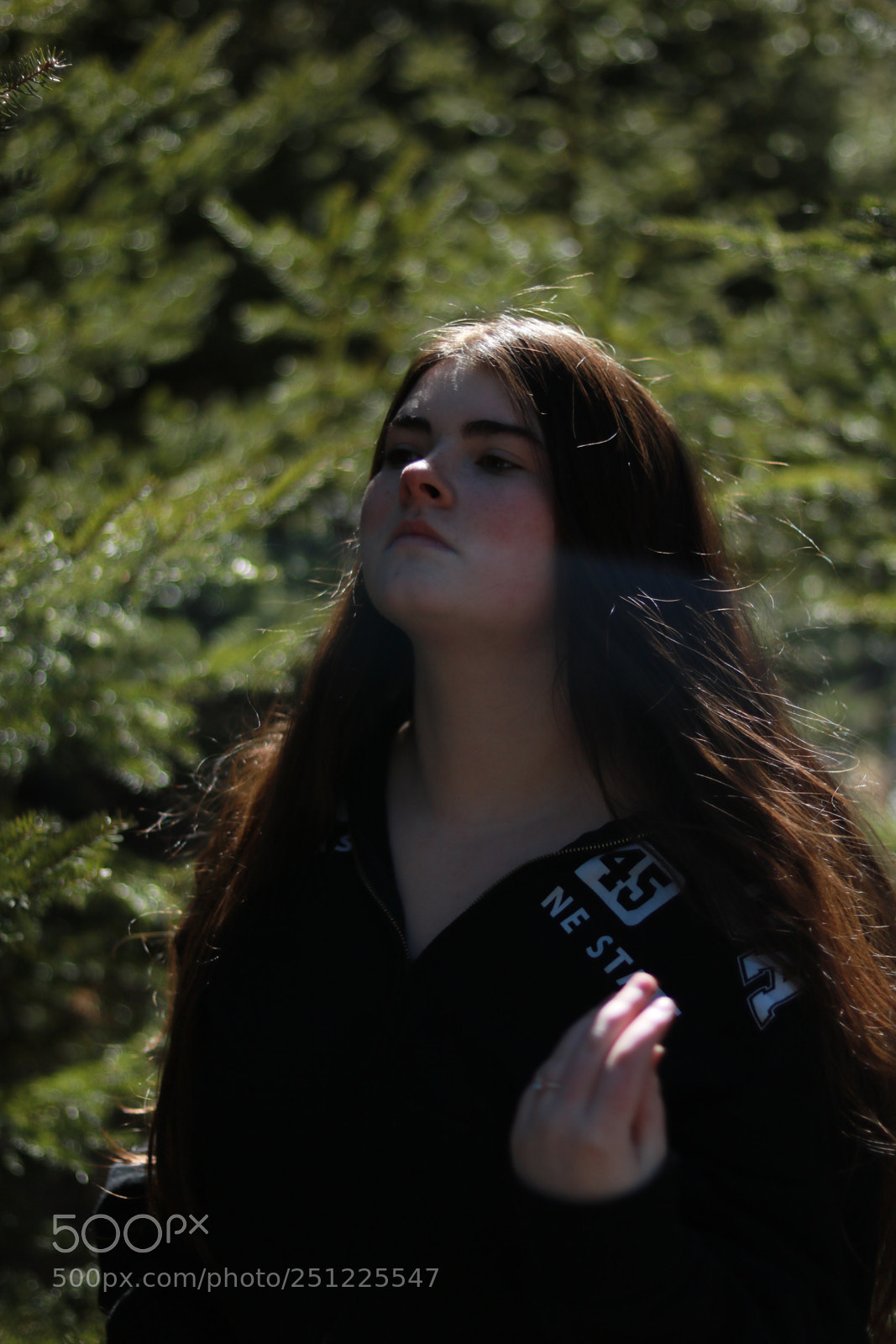 Canon EOS 750D (EOS Rebel T6i / EOS Kiss X8i) sample photo. Dark photography