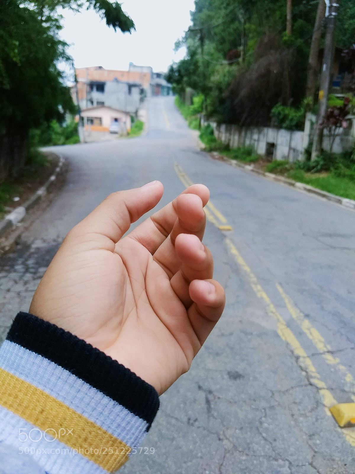 Motorola Moto G (5) Plus sample photo. First photo photography