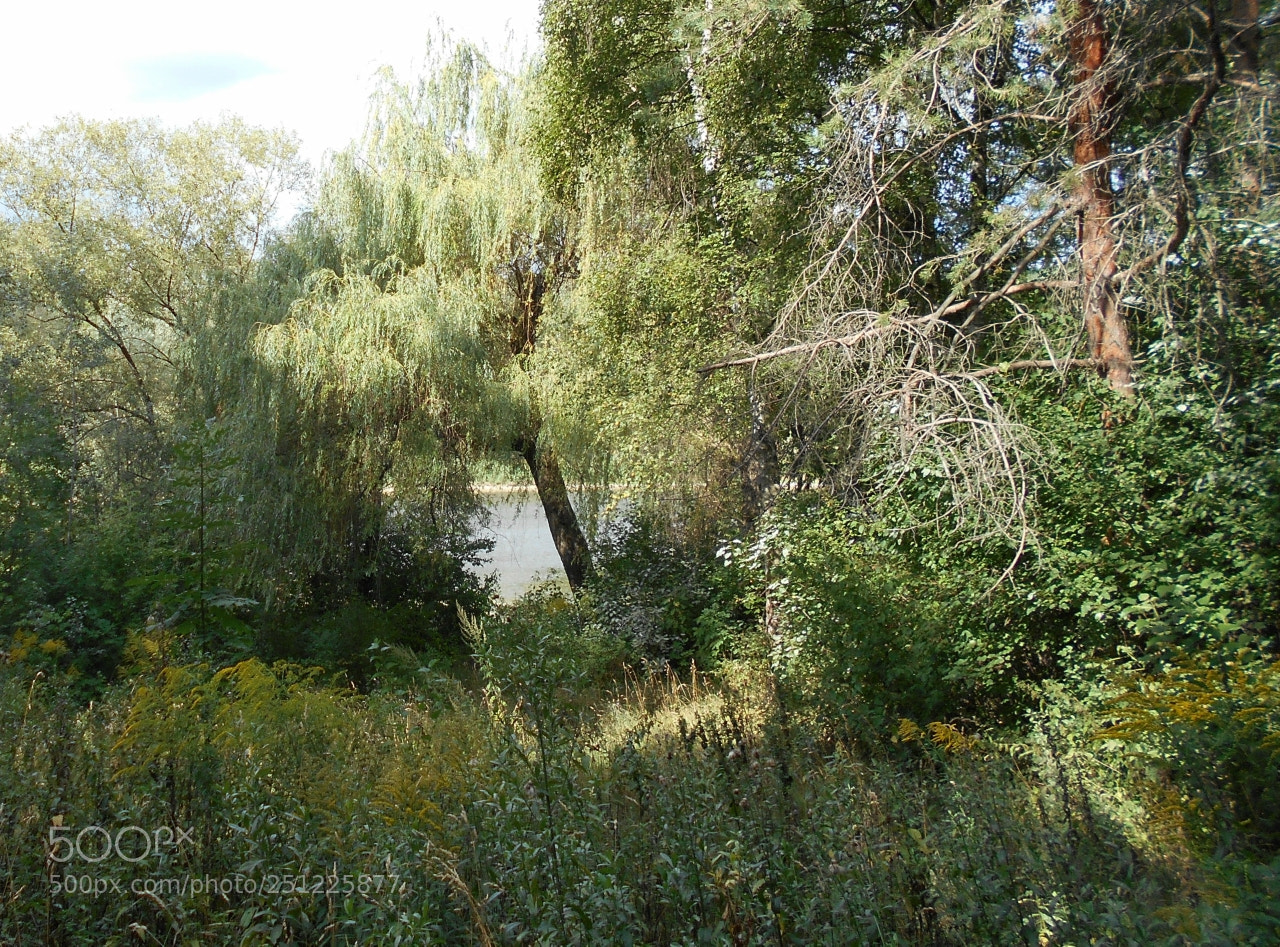 Nikon Coolpix A100 sample photo. Dcdb orig photography